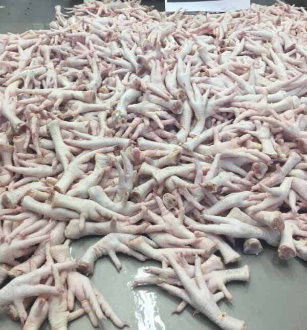 Frozen Chicken Feet - Image 4