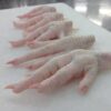 Frozen Chicken Feet for sale