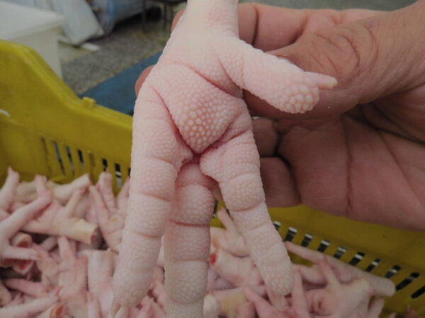 Buy Chicken Feet online