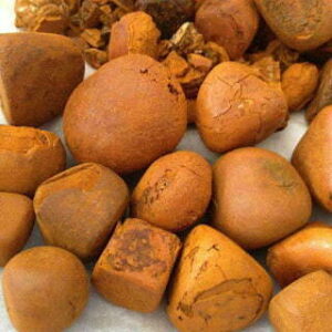 Buy cow gallstones