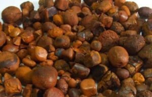 Where to buy gallstones online