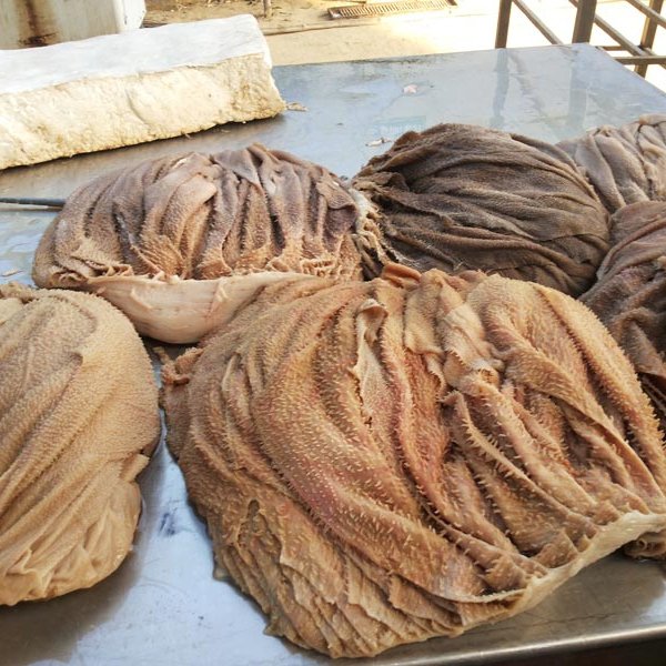 Beef omasum for sale | Buy Beef Tripe online | Cheap Beef Offals