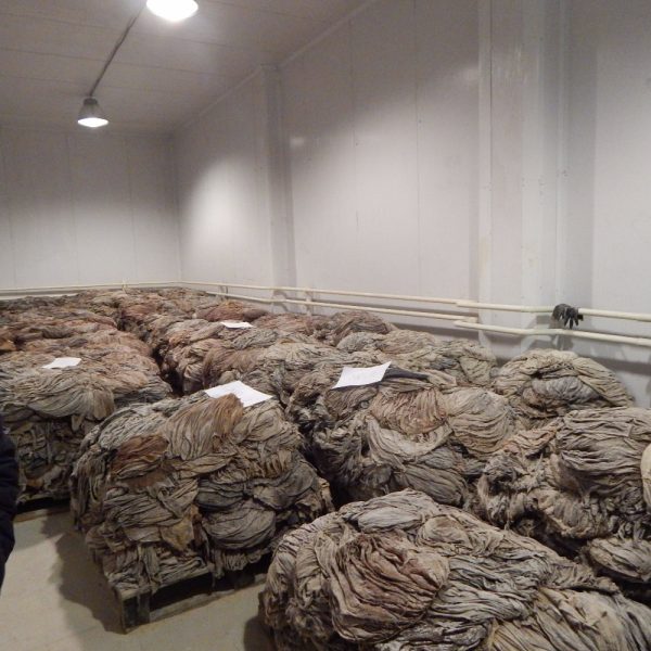 Beef omasum for sale