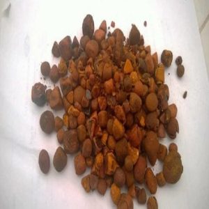 Buy cow gallstones