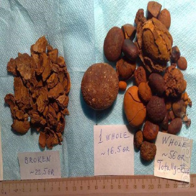 The Global Trade of Cow and Ox Gallstones: Possession, Distribution, and Market Insights